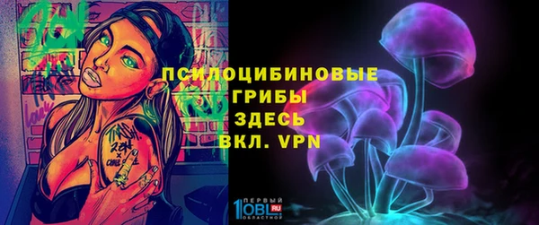 спайс Алзамай