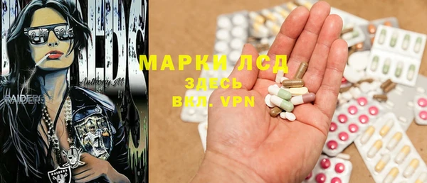 спайс Алзамай