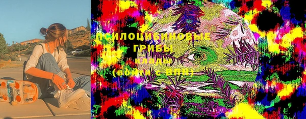 первитин Алексеевка