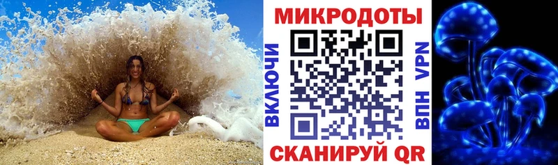 Галлюциногенные грибы Psilocybe  Рубцовск 