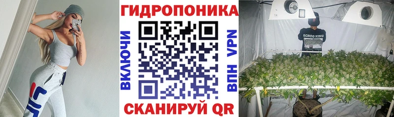 Конопля сатива  Рубцовск 